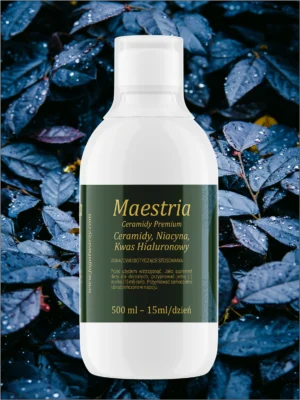 Maestria – 500ml