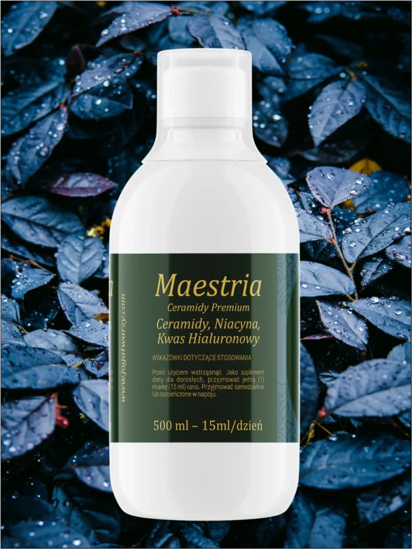 Maestria – 500ml
