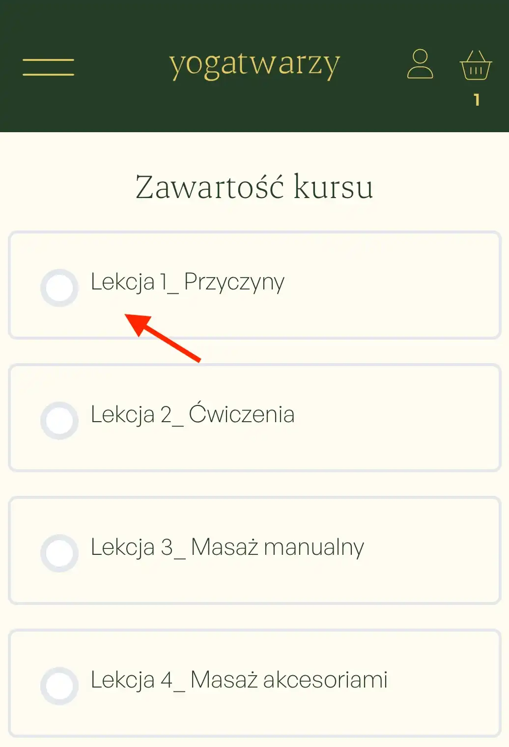 Idealne czoło bez botoksu - Kurs online - obrazek 5